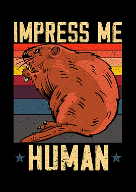 Impress Me Human Beaver