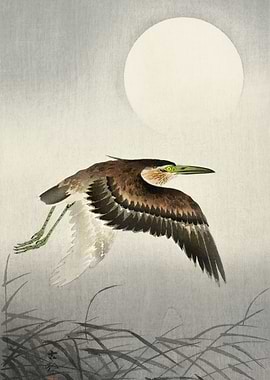 Heron at full moon 1900