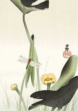 Libelle and lotus 1900