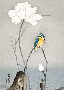 Kingfisher with Lotus