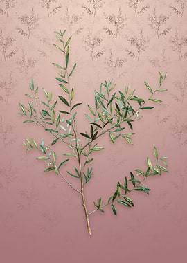 Vintage Myrtle Dahoon