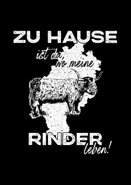 Highland Cattle Hessen