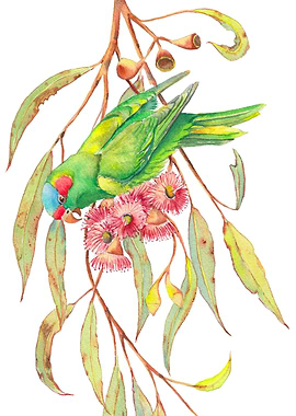Green parrot and flowers