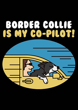 Border Collie CoPilot