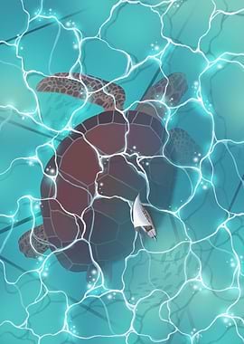 Sea turtle infinite series