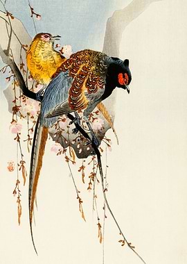 Pheasant couple and plum
