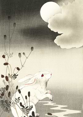 Rabbit at full moon 1900