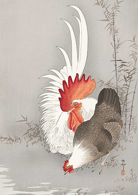Rooster and chicken 1900