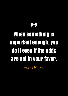 Elon musk quotes