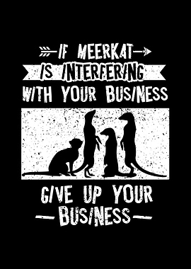 Meerkat