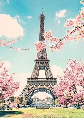 Paris Sakura