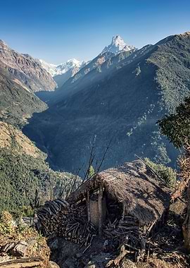 Himalayan View