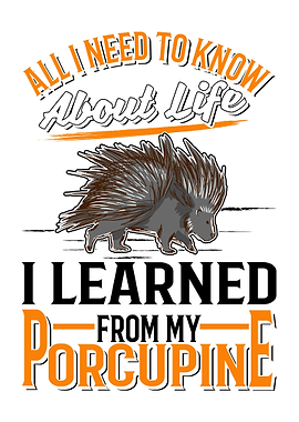 Porcupine Gift