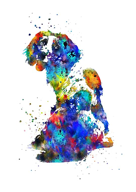 English springer spaniel