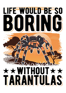 Tarantula Gift