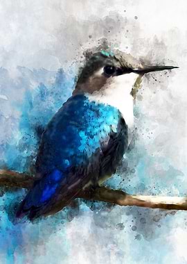 Watercolor humming bird