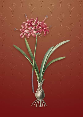 Vintage Guernsey Lily