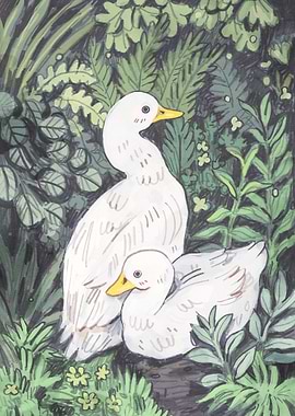 White ducks