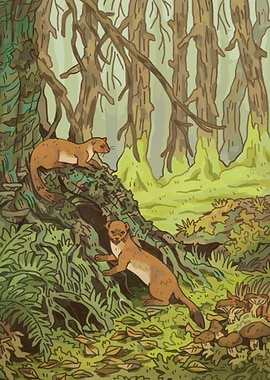 Two weasels in the woods