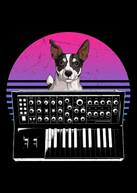 Jack Russell Terrier Dog