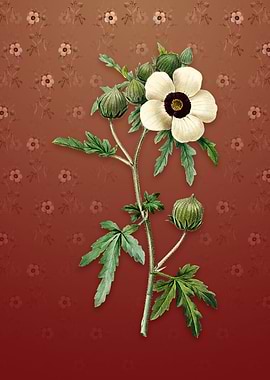 Vintage Venice Mallow