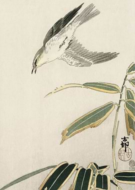 Wheatear in bamboo 1900