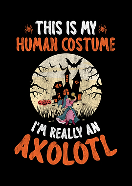 Halloween Haunted House