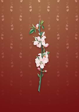 Vintage Peach Flower