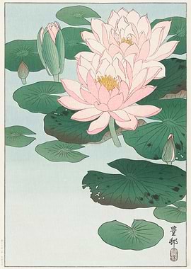Water Lily 1920