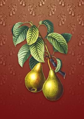 Vintage Pear on Falu Red