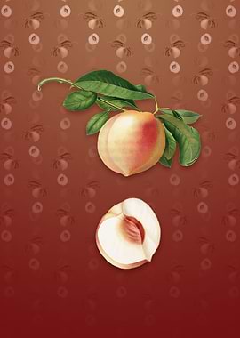 Vintage Peach on Falu Red