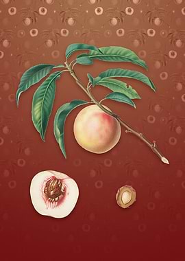 White Speckled Peach