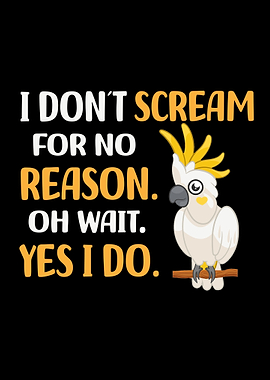 Cockatoo Pet Bird Budgie