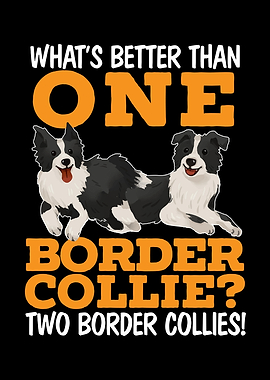 Border Collie