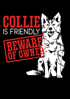 Collie Is Friendly