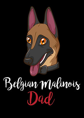 Belgian Malinois Shepherd