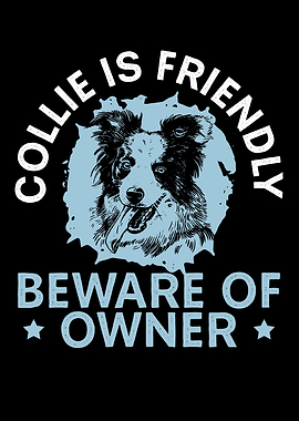 Collie Is Friendly