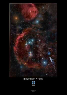 HOPS SOURCES IN ORION