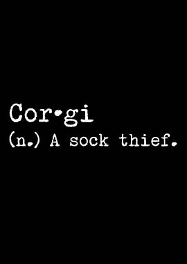 Corgi A Sock Thief