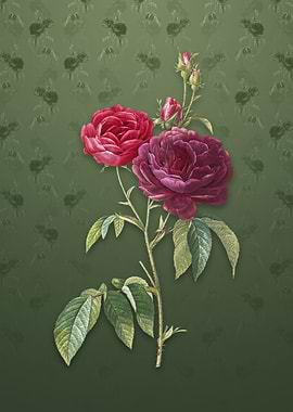 Vintage Purple Roses