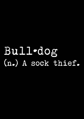 English Bulldog Sock Thief