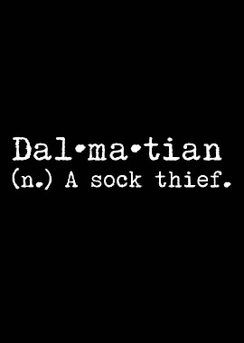 Dalmatian A Sock Thief