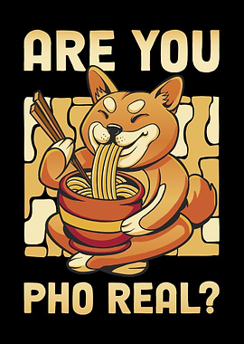 Are You Pho Real