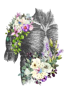 Muscles of the Trunk