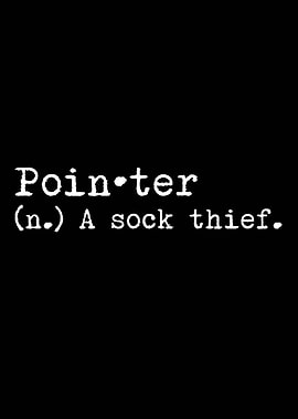 Pointer Dog A Sock Thief