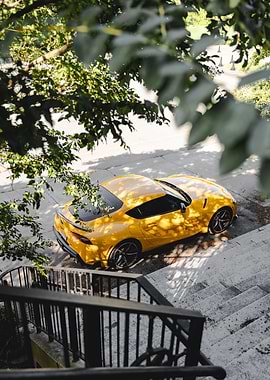 Supra through the trees