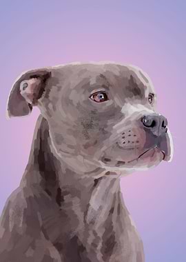 Staffordshire Terrier