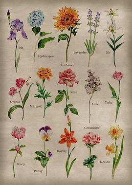 Vintage Garden Flowers