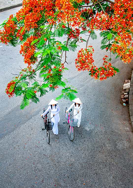 Summer time and students