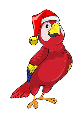 Parrot Santa hat